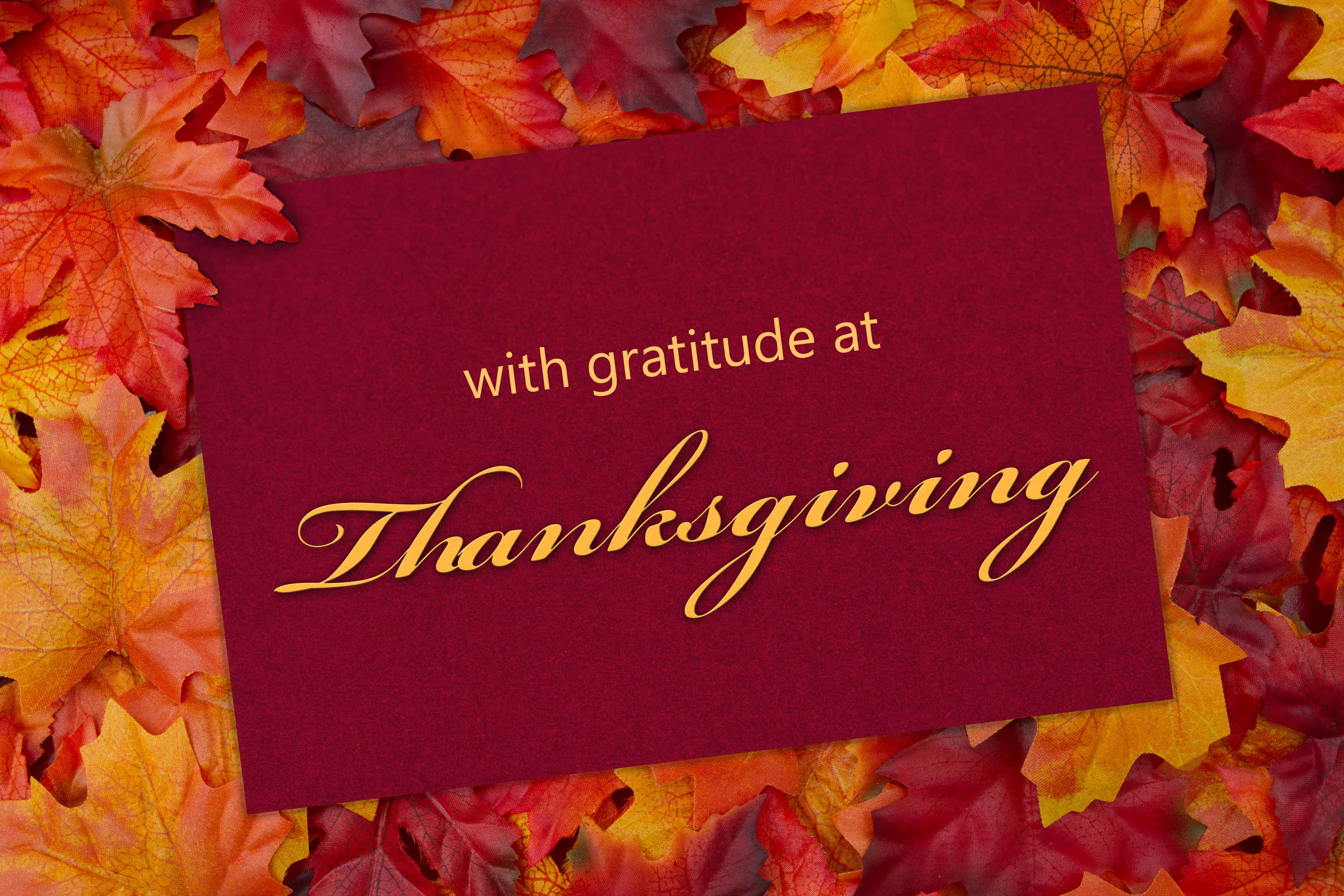 thanksgiving-greeting-card-nk-a-marketing